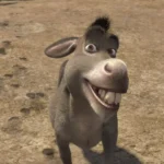 spinoff de burro despues de sherk 5